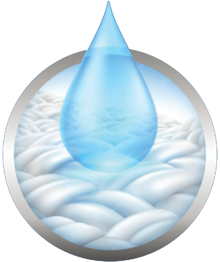 Absorción